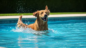 Local Societies Launch Dedicated Splash Activities For Furry Friends