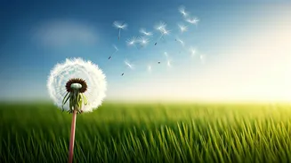 10 Things to Leave Behind for a Happier, More Peaceful Life