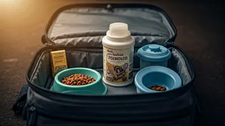 Travel Plans Now Include Food Bowls Too