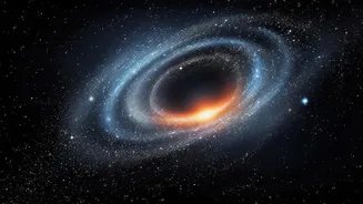 New era in black hole astronomy