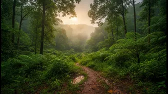 Why slow-travel dynamics favor exploring Goa bio-diverse interior valleys during rainy months