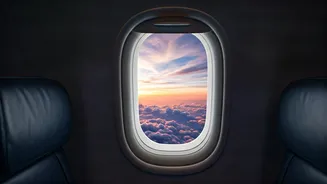 Unprecedented 68% Jump In Spontaneous Domestic Flight Bookings Recorded