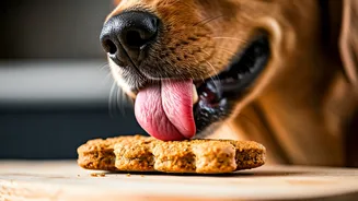 Creative Pet Vlogs Share Grain Free Dog Biscuit Recipes