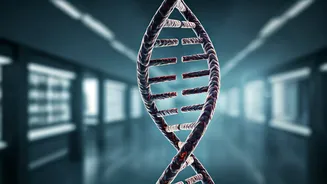 Intra-Family Marriages: Unpacking Genetic Risks for Birth Defects in India