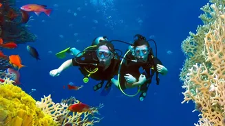 Discovering Marine Life In Lakshadweep: Top Scuba Sites And Sustainable Eco-Lodge Recommendations