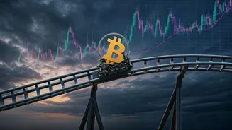 Bitcoin's Rollercoaster: Price Drops, Future Predictions