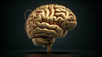 Unlocking Your Mind: Robert Frost's Insight on Brain Power and Daily Rhythms