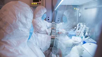 Russia Plague Mystery: Moscow Tells WHO 'No Cases', Then Comes Report Of Second Death