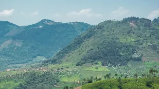 Coorg Homestays Nestled In Coffee Plantations See Rising Off Season Demand From Peaceful Monsoon Seekers