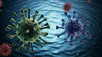 Cruise Ship Outbreaks: From Norovirus to Hantavirus, A History of Illness at Sea