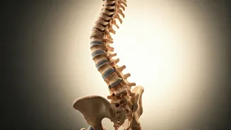 Related Stories banner