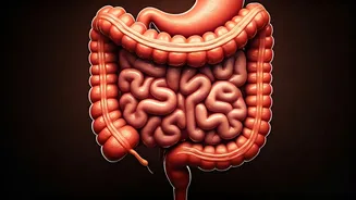 Summer's Sizzle: How Oily & Spicy Foods Sabotage Your Gut Health