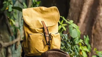 Post-Monsoon Safari Planning: What To Pack And Check