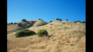 California Faces Prolonged Summers and Reduced Snowpack by Mid-Century