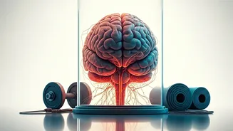Boosting Brainpower: The Exercise-Memory Connection