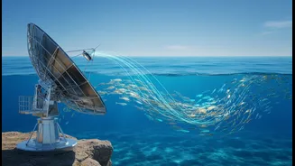 Fisheries Forecasts Depend on Models, Observations and Field Validation