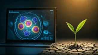 Sonali Bendre's Cancer Journey: Early Detection's Power and the Road to Awareness