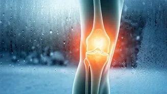 Winter's Grip on Joints: Expert Insights for a Pain-Free Season