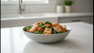 Urban Pet Owners Are Rethinking Daily Feeding Habits As Premium Diets Gain Popularity