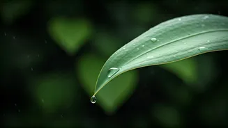 Keep Your Stomach Happy During Monsoon