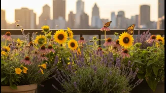 Bees And Butterflies Need Balcony Space Too