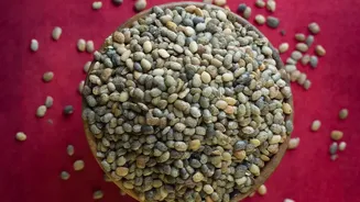 How Young Food Entrepreneurs Elevate Heritage Mouth Fresheners Using Roasted Seeds And Extracts