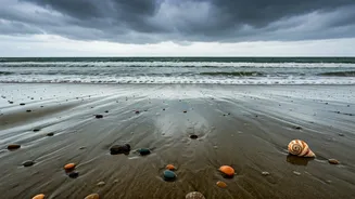 Rainy Shores Work Best With Flexible Itineraries