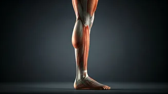 Fix Balance Issues Practicing Slow Single Leg Calf Raises Daily