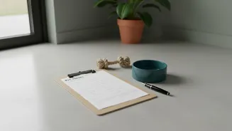 For A Pet-Sitter Handover Sheet, Keep Daily Routines And Vet Contacts And Emergency Permission Visible