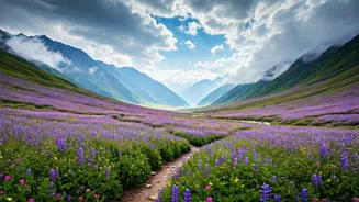 Valley Of Flowers Gives Monsoon Trekkers A Reward