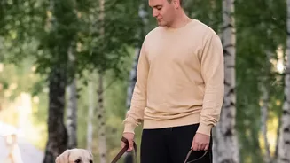 Why Responsible Pet Owners Are Changing Monsoon Walking Habits