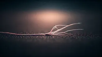 Microcheating Unveiled: Understanding the Subtle Infidelities & Their Impact on Relationships