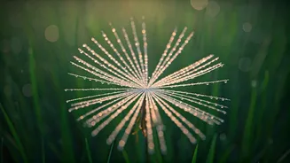 Discover 'Glimmers': Your Secret Weapon for a Calmer, More Connected Life