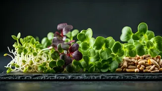 Microgreens Dominate Healthy Indian Food Trends Across Metro Cities Today