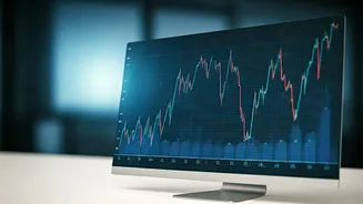 NJ Mutual Fund's Challenges: Scaling Up in India