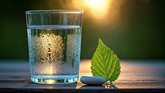 Unlock a Stronger You: Simple Morning Habits to Boost Your Immunity Naturally