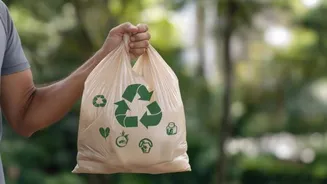 How to build an eco-friendly lifestyle