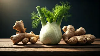Unlock Better Digestion: The Power of Ginger and Fennel Duo