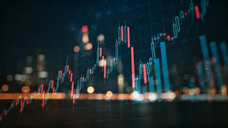 Market Movers: Key Global Trends in Play