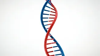 Marriage & Lifespan: A Gendered Tale