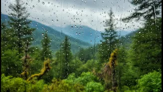 Rainy Getaways Are Bringing Back The Joy Of Unhurried Exploration