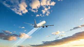 Summer Flight Fares Soar: Your 2026 Guide to Navigating Rising Costs