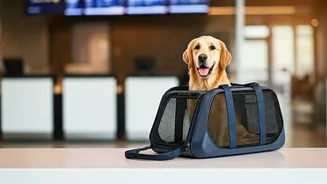 Your Next Trip Might Need Pet Approval