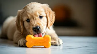 Beat The June Heat With Frozen Pumpkin Puppy Popsicles