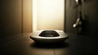 The Squat Toilet Secret: Unveiling Health Perks of Japanese Washiki Toilets