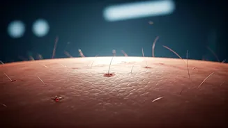 Related Stories banner