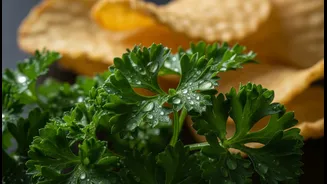 How Micro-Moisture Drops Hidden In Parsley Clusters Ruin Crispy Snack Yields Across Urban Kitchens