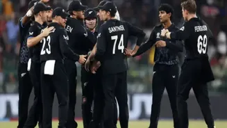 Related Stories banner