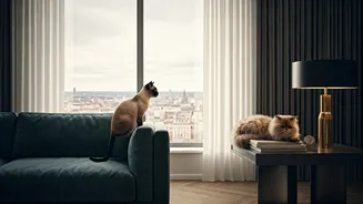 Mumbai Felines Rule Luxury Apartment Spaces Pet Reports Confirm