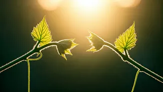 Relationships: It's Your Thoughts, Not Just Your Actions, That Matter